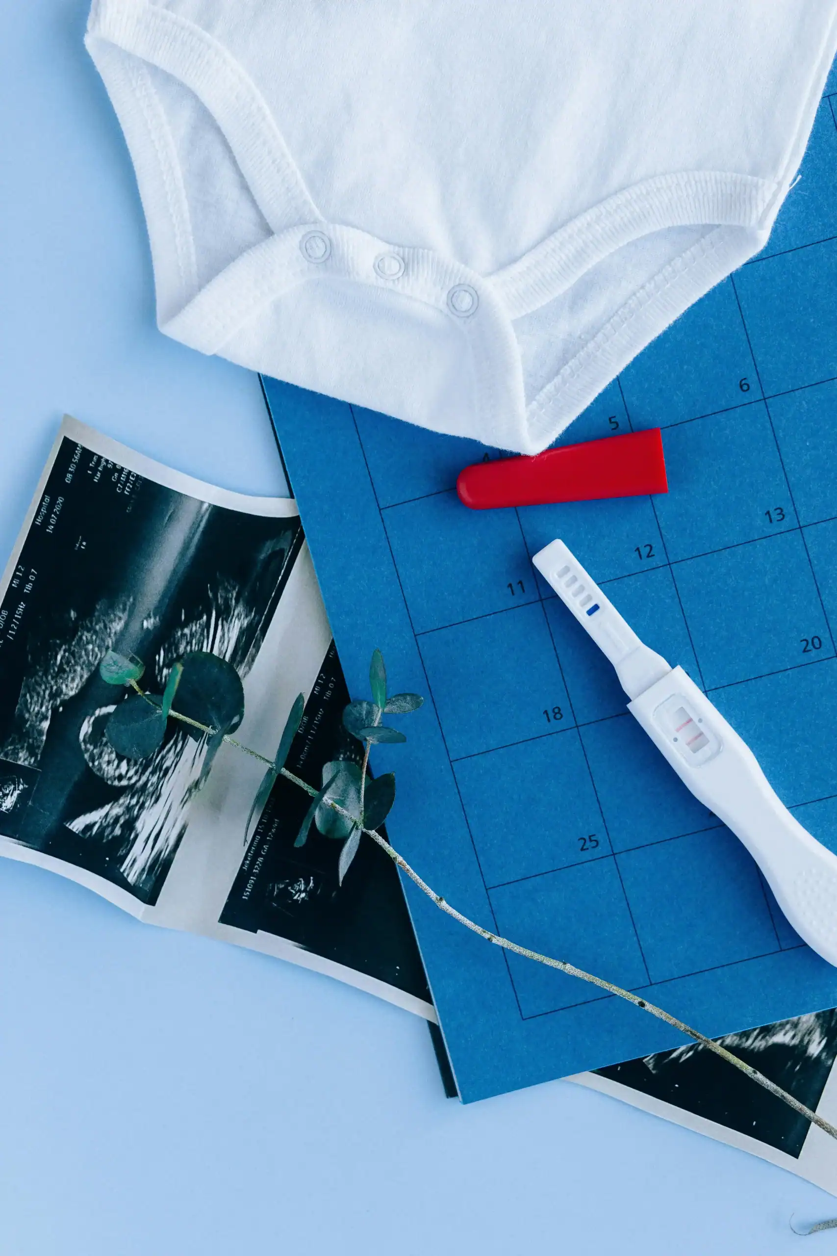 45fbf8c9d4ba41bff48575097653e3c9