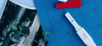 45fbf8c9d4ba41bff48575097653e3c9