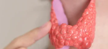 Pajzsmirigy szűrőcsomag